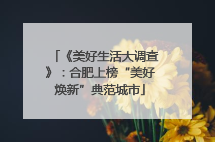 《美好生活大调查》：合肥上榜“美好焕新”典范城市