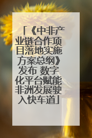 《中非产业链合作项目落地实施方案总纲》发布 数字化平台赋能非洲发展驶入快车道
