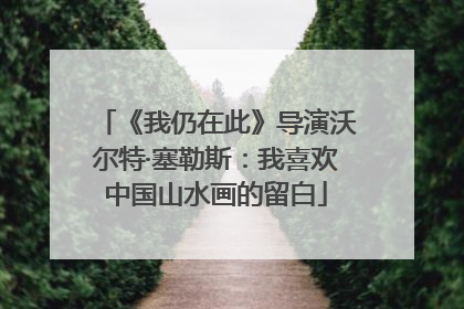 《我仍在此》导演沃尔特·塞勒斯：我喜欢中国山水画的留白