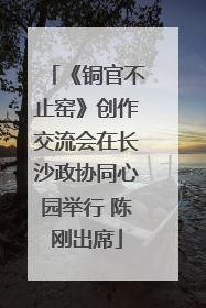 《铜官不止窑》创作交流会在长沙政协同心园举行 陈刚出席