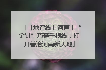 「地评线」河声丨“金针”巧穿千根线，打开善治河南新天地