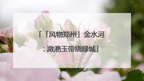 「风物郑州」金水河：潋滟玉带绕绿城