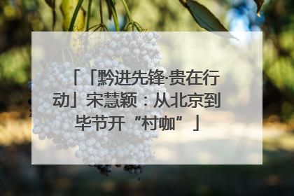 「黔进先锋·贵在行动」宋慧颖：从北京到毕节开“村咖”