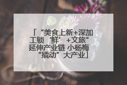 “美食上新+深加工锁‘鲜’+文旅”延伸产业链 小杨梅“撬动”大产业