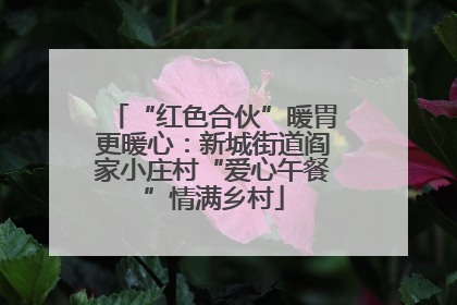 “红色合伙”暖胃更暖心：新城街道阎家小庄村“爱心午餐”情满乡村