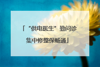 “供电医生”勤问诊 集中修整保畅通