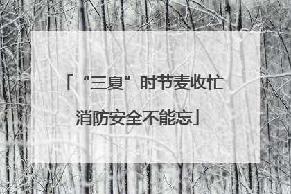 “三夏”时节麦收忙 消防安全不能忘