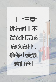 “三夏”进行时丨不误农时完成夏收夏种，确保小麦颗粒归仓