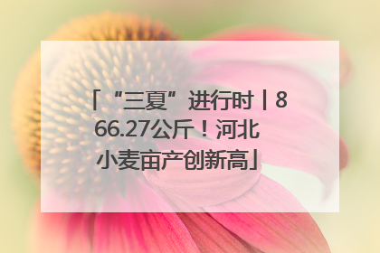 “三夏”进行时丨866.27公斤！河北小麦亩产创新高