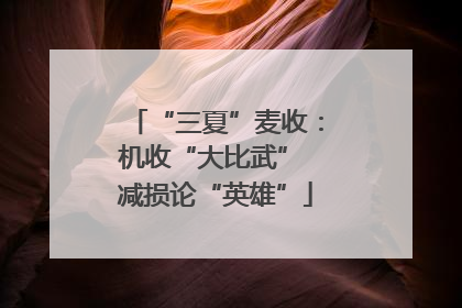 “三夏”麦收：机收“大比武” 减损论“英雄”