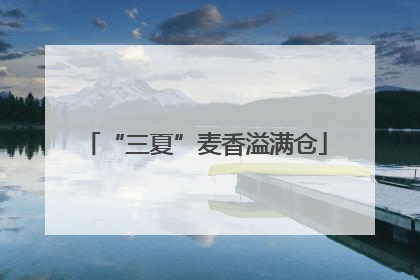 “三夏”麦香溢满仓