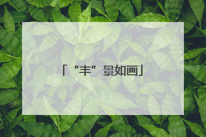 “丰”景如画