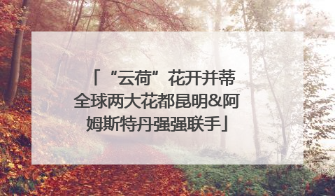 “云荷”花开并蒂 全球两大花都昆明&阿姆斯特丹强强联手