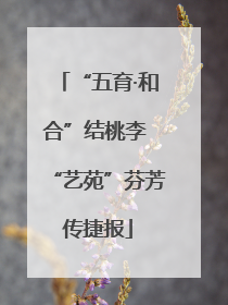 “五育·和合”结桃李 “艺苑”芬芳传捷报