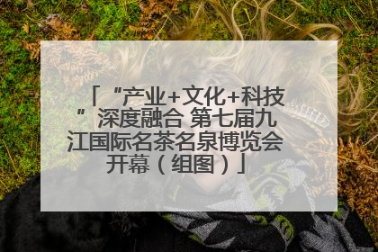 “产业+文化+科技”深度融合 第七届九江国际名茶名泉博览会开幕（组图）