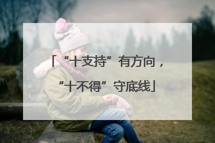 “十支持”有方向，“十不得”守底线