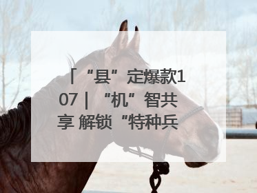 “县”定爆款107｜“机”智共享 解锁“特种兵团”的N种可能