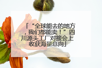 “全球能去的地方，我们都能卖！”四川源头工厂对接会上收获海量意向