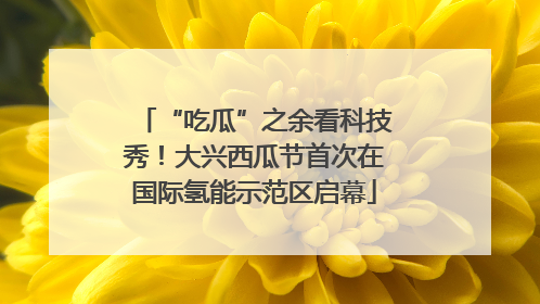 “吃瓜”之余看科技秀！大兴西瓜节首次在国际氢能示范区启幕