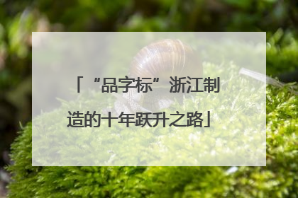 “品字标”浙江制造的十年跃升之路
