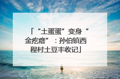“土蛋蛋”变身“金疙瘩”：孙伯镇西程村土豆丰收记