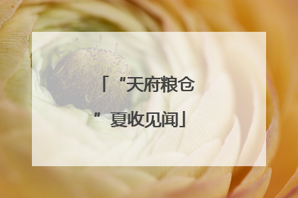 “天府粮仓”夏收见闻