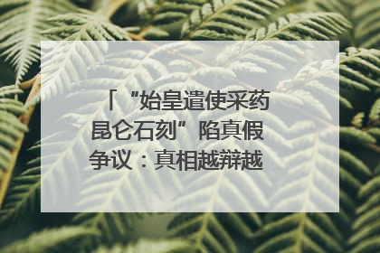 “始皇遣使采药昆仑石刻”陷真假争议：真相越辩越明｜新京报专栏