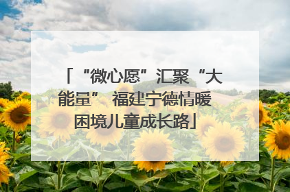 “微心愿”汇聚“大能量” 福建宁德情暖困境儿童成长路