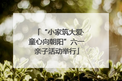 “小家筑大爱·童心向朝阳”六一亲子活动举行