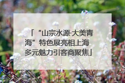 “山宗水源·大美青海”特色展亮相上海 多元魅力引客商聚焦