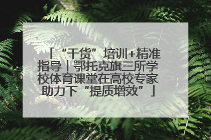 “干货”培训+精准指导丨鄂托克旗三所学校体育课堂在高校专家助力下“提质增效”