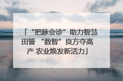 “把脉会诊”助力智慧田管 “数智”良方夺高产 农业焕发新活力
