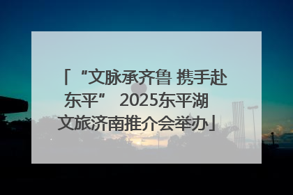 “文脉承齐鲁 携手赴东平” 2025东平湖文旅济南推介会举办