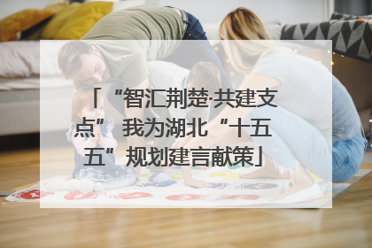 “智汇荆楚·共建支点” 我为湖北“十五五”规划建言献策