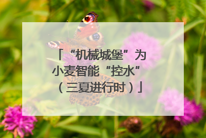 “机械城堡”为小麦智能“控水”（三夏进行时）