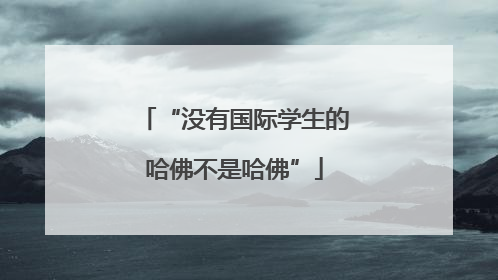 “没有国际学生的哈佛不是哈佛”