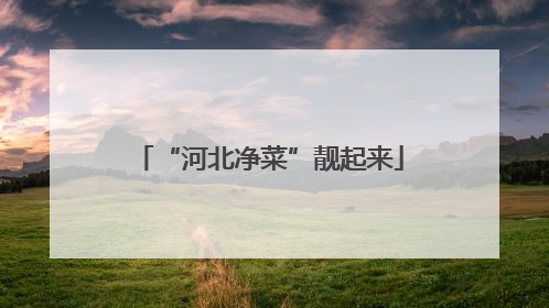 “河北净菜”靓起来