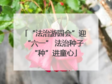 “法治游园会”迎“六一” 法治种子“种”进童心