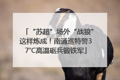 “苏超”场外“战狼”这样炼成！南通巡特警37℃高温砺兵锻铁军