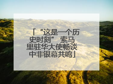 “这是一个历史时刻” 索马里驻华大使畅谈中非银幕共鸣