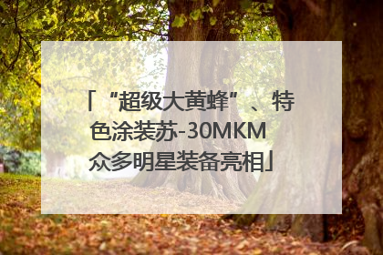 “超级大黄蜂”、特色涂装苏-30MKM 众多明星装备亮相