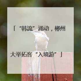 “韩流”涌动，郴州大举拓客“入境游”