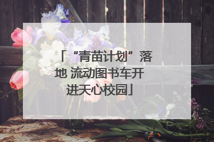 “青苗计划”落地 流动图书车开进天心校园