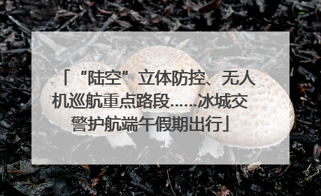 “陆空”立体防控、无人机巡航重点路段……冰城交警护航端午假期出行
