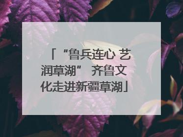 “鲁兵连心 艺润草湖” 齐鲁文化走进新疆草湖