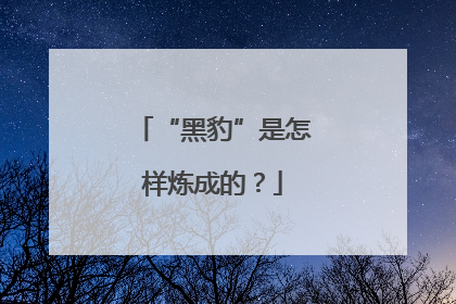 “黑豹”是怎样炼成的？