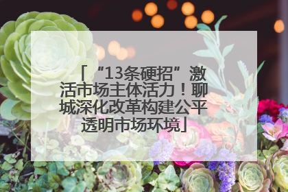 “13条硬招”激活市场主体活力！聊城深化改革构建公平透明市场环境