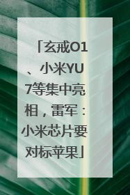 玄戒O1、小米YU7等集中亮相，雷军：小米芯片要对标苹果