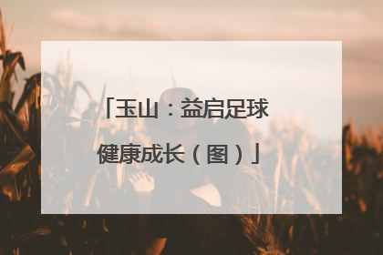 玉山：益启足球 健康成长（图）