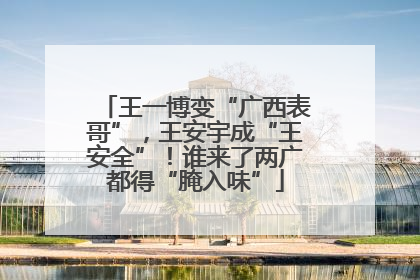王一博变“广西表哥”，王安宇成“王安全”！谁来了两广都得“腌入味”